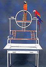 Birds Play Stands UK